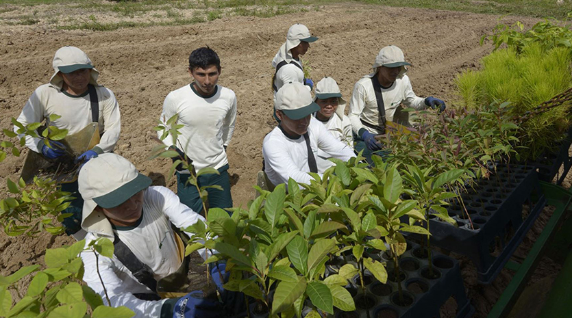 REGLAMENTO DEL RÉGIMEN LABORAL AGRARIO